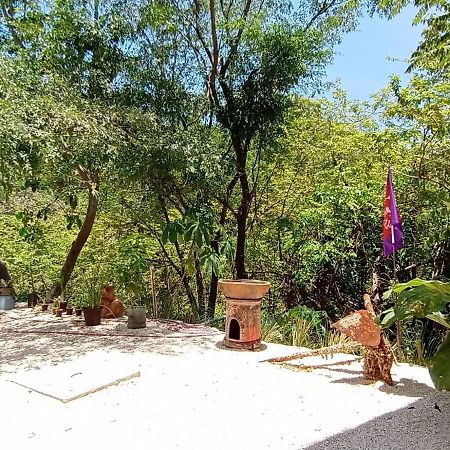 Laurel Jungle & Ocean Villa Playa Santa Teresa  Exteriör bild