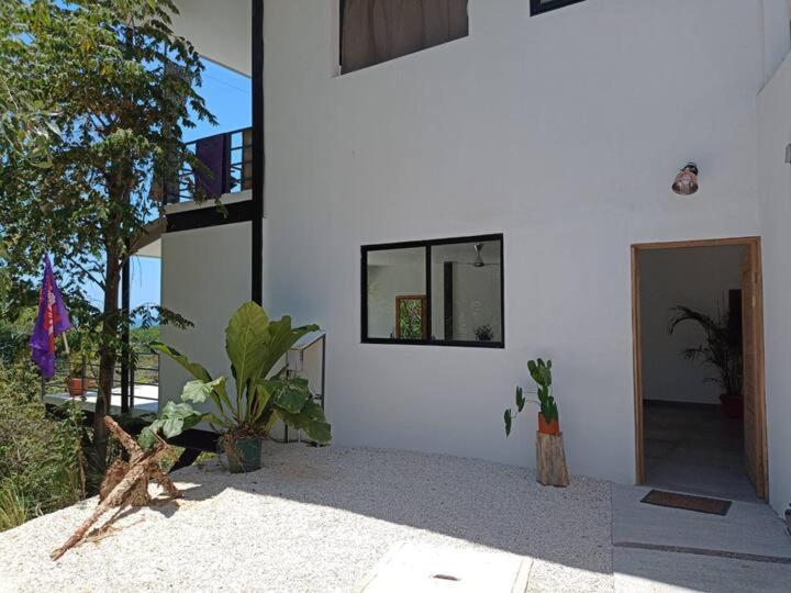 Laurel Jungle & Ocean Villa Playa Santa Teresa  Exteriör bild